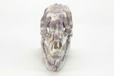 Carved Amethyst Dinosaur Crystal Skull - Ferocious! #227045-2